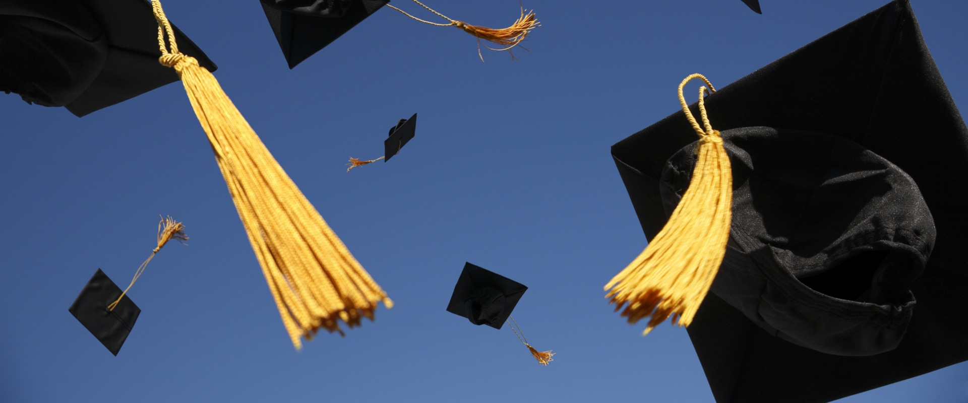 State Education Grants: Types, Qualifications, and More
