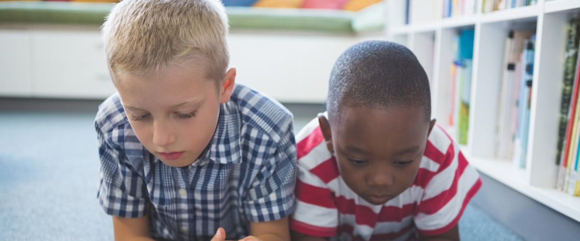 Understanding Literacy Programs