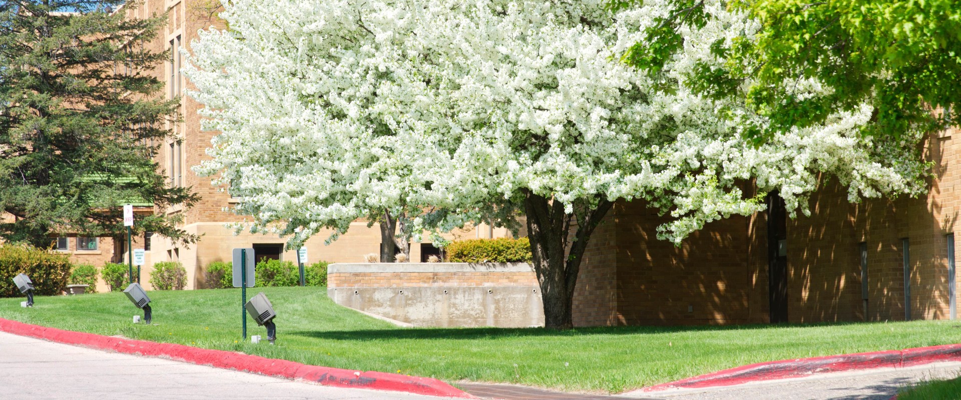 Exploring Campus Beautification Projects