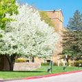 Exploring Campus Beautification Projects