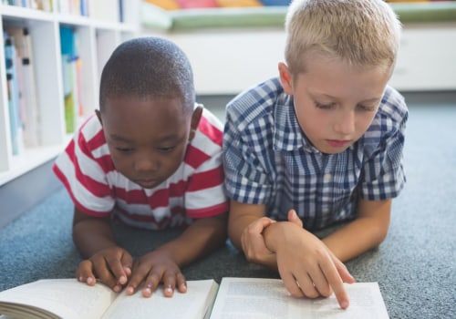 Understanding Literacy Programs